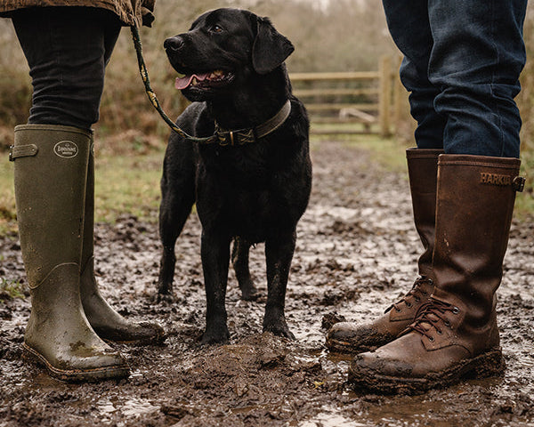 Beating the Mud: Best Footwear for Wet Fields and Dog Walks