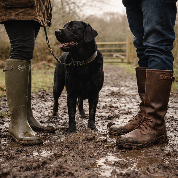 Beating the Mud: Best Footwear for Wet Fields and Dog Walks