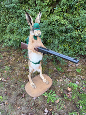 Taxidermy The Hunting Hare