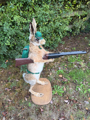 Taxidermy The Hunting Hare