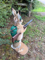 Taxidermy The Hunting Hare