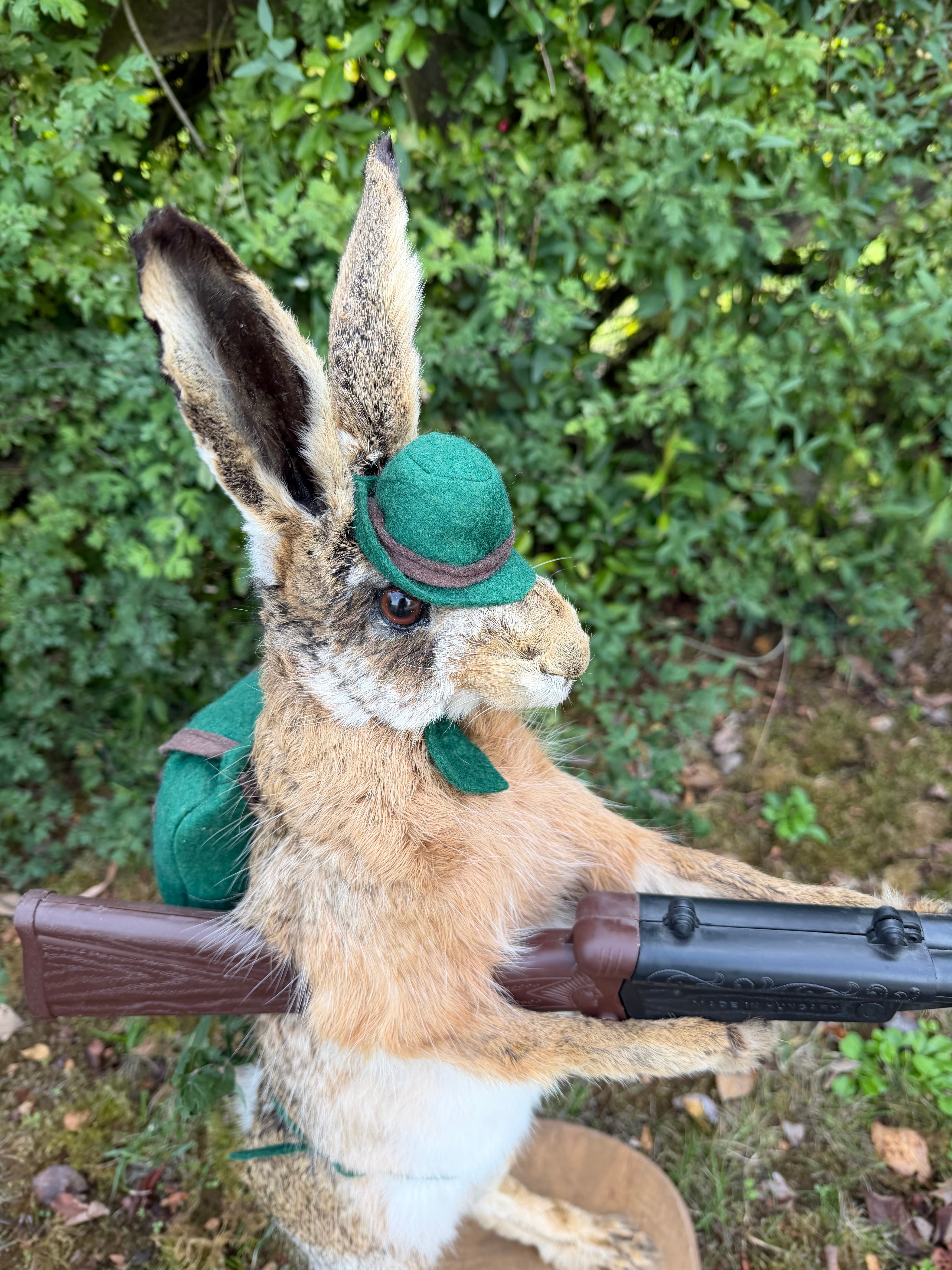 Taxidermy The Hunting Hare