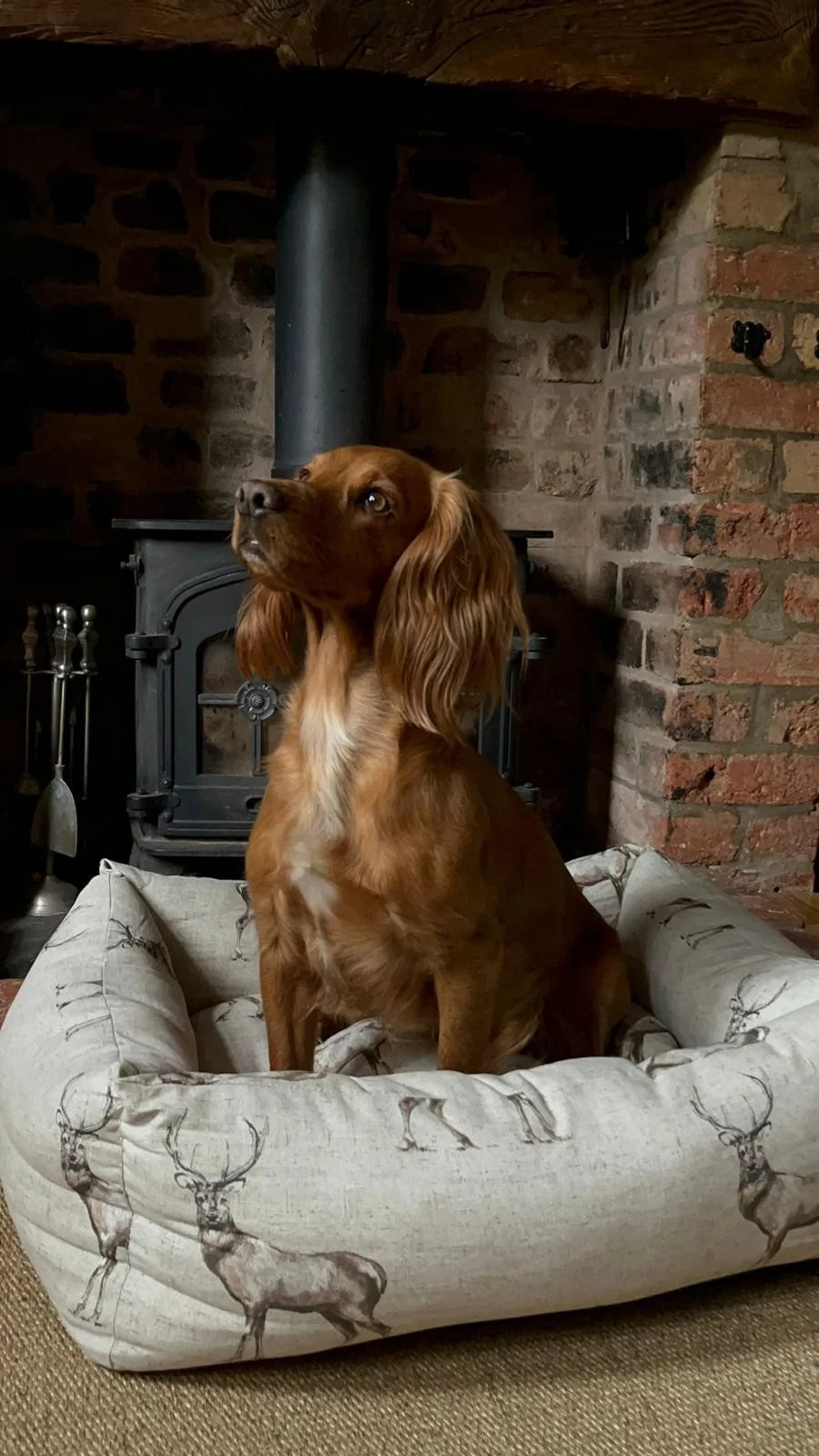 Snug & Cosy Moorland Stag Dog Bed - XXL