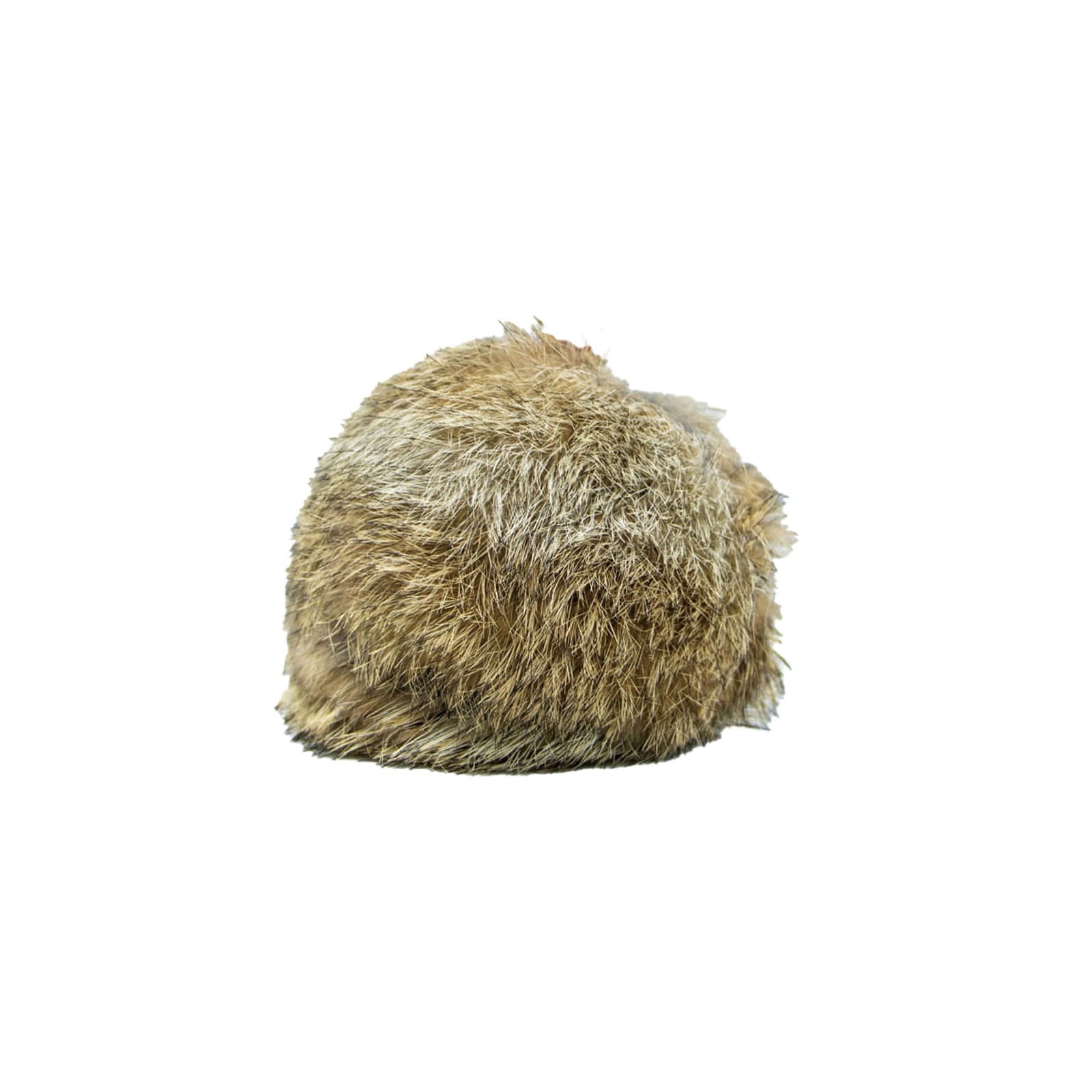 Dog & Field Dummy Rabbit Ball