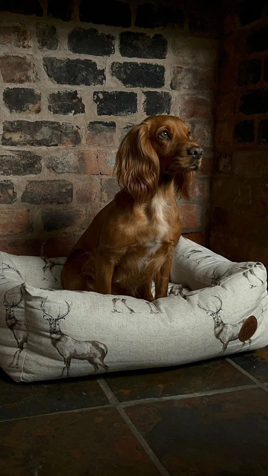 Snug & Cosy Moorland Stag Dog Bed - XXL