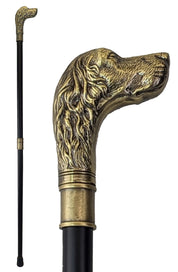 Walking stick