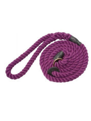 Bisley Elite Dog Slip Lead