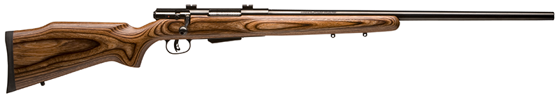Savage Model 25 Rifle 22 Hornet