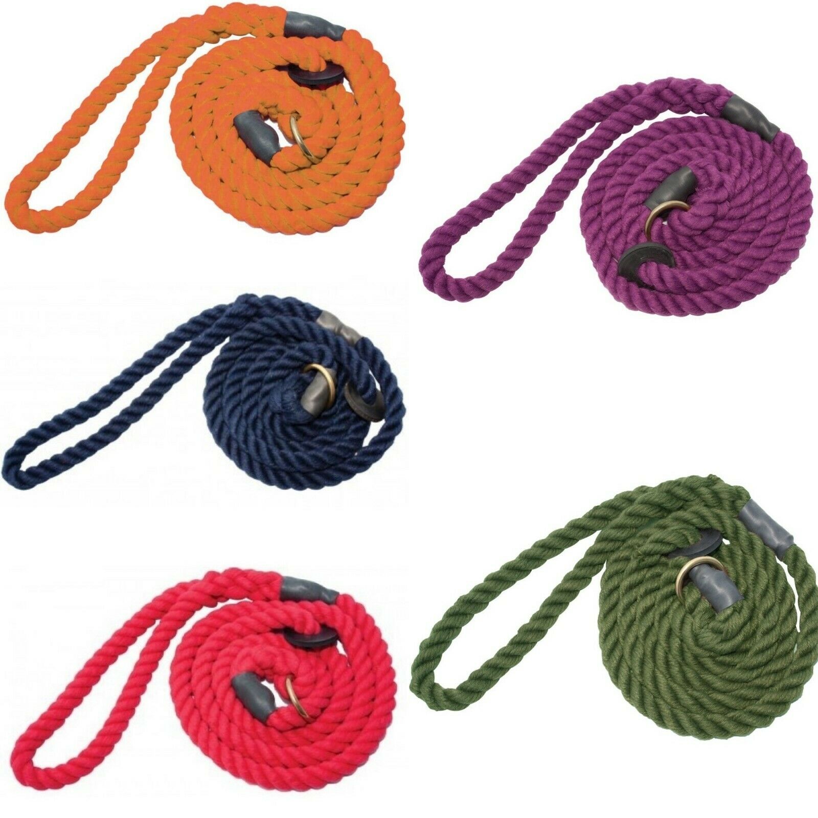 Bisley Elite Dog Slip Lead